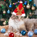 Pets.Love.Earth Christmas Hat With Elk - 14cm 