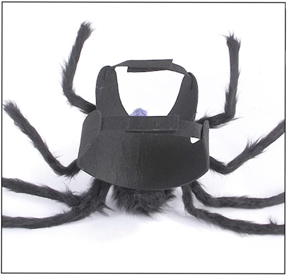 Pets.Love.Earth Skull Spider Chest And Back 