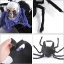 Pets.Love.Earth Skull Spider Chest And Back 