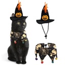 Pets.Love.Earth Halloween Jester - Hat & Bandana Set 