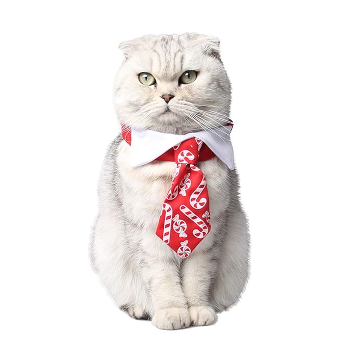Pets.Love.Earth Holiday Tie And Collar 