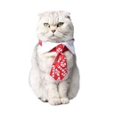 Pets.Love.Earth Holiday Tie And Collar 