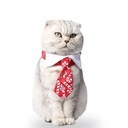 Pets.Love.Earth Holiday Tie And Collar 