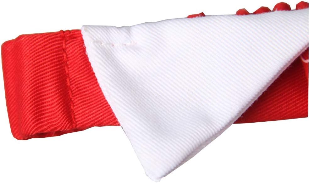 Pets.Love.Earth Holiday Tie And Collar 