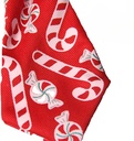 Pets.Love.Earth Holiday Tie And Collar 