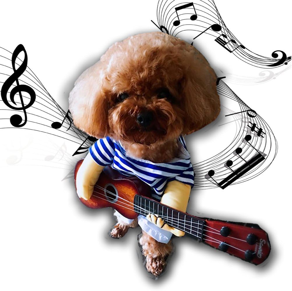 Pets.Love.Earth Rockstar Costume with Guitar