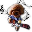 Pets.Love.Earth Rockstar Costume with Guitar