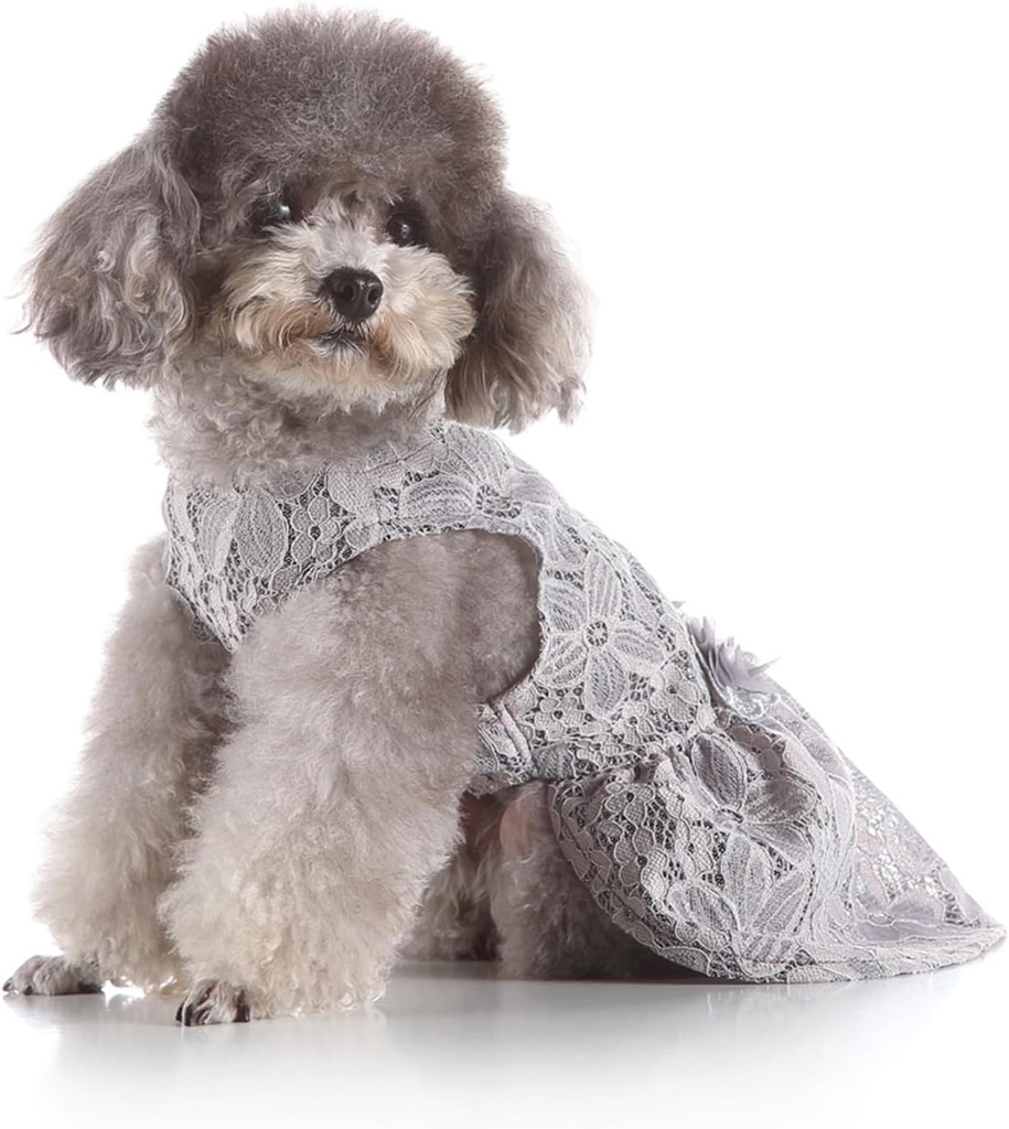 Pets.Love.Earth Lace Dress - Grey 