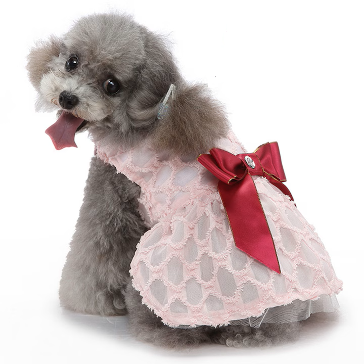 Pets.Love.Earth see-through Dress - Pink 