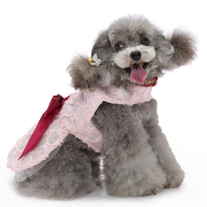 Pets.Love.Earth see-through Dress - Pink 