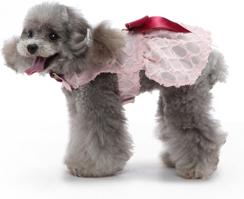 Pets.Love.Earth see-through Dress - Pink 