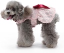 Pets.Love.Earth see-through Dress - Pink 