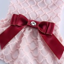 Pets.Love.Earth see-through Dress - Pink 