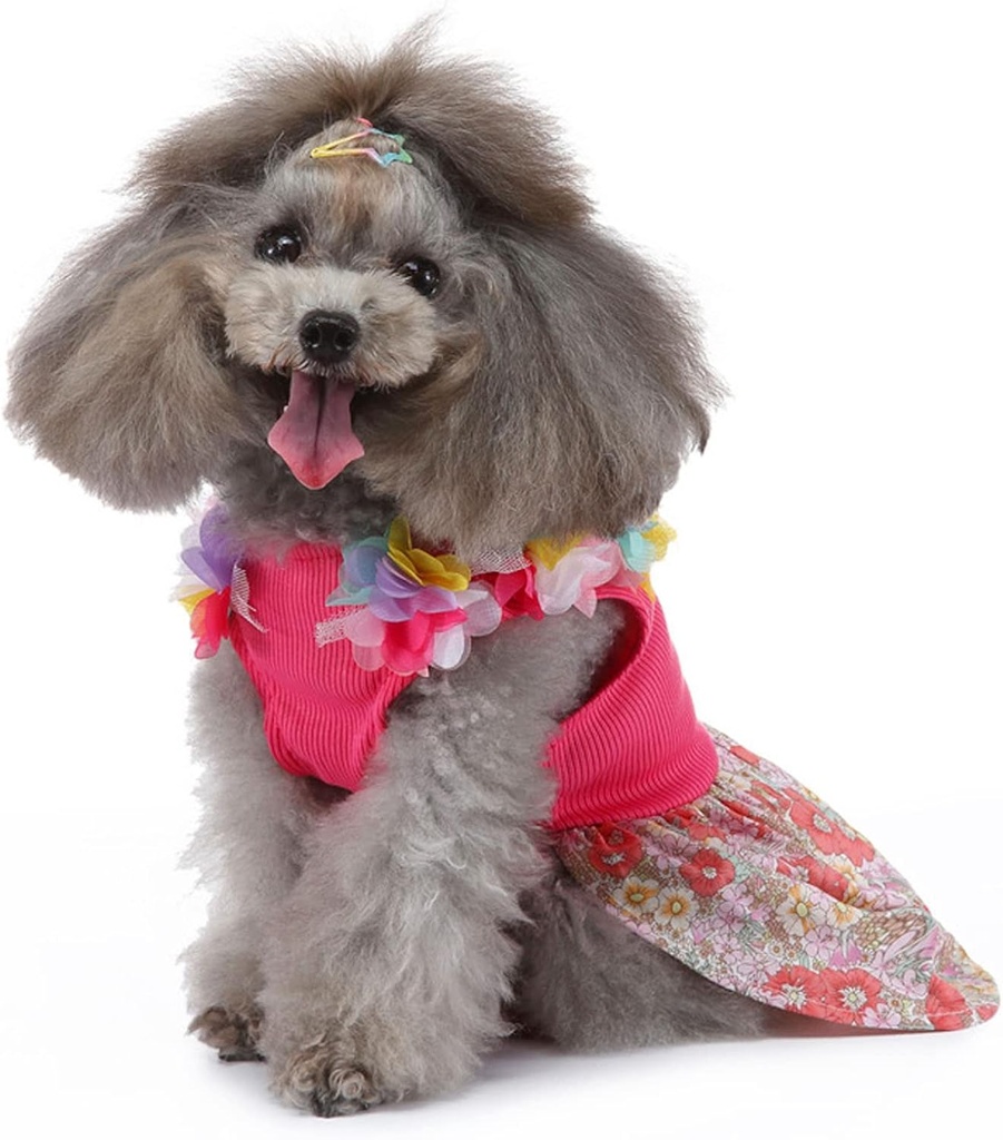 Pets.Love.Earth Cocktail Dress - Pink Rose 