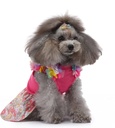 Pets.Love.Earth Cocktail Dress - Pink Rose 