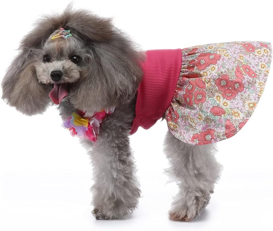 Pets.Love.Earth Cocktail Dress - Pink Rose 