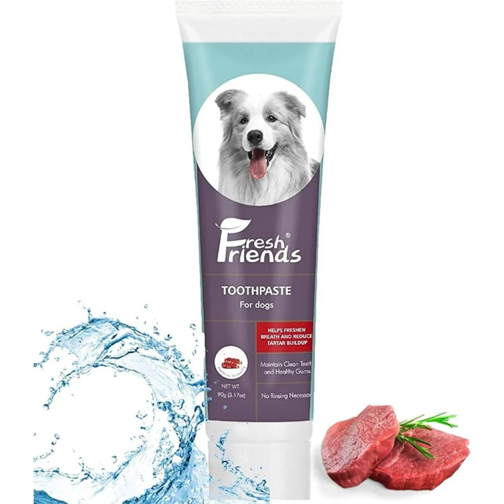 Fresh Friends Dog Dental Care Kit Toothpaste Beef Flavor 90g & Toothbrushes 