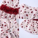 Pets.Love.Earth Summer Dress Ladybug Printed