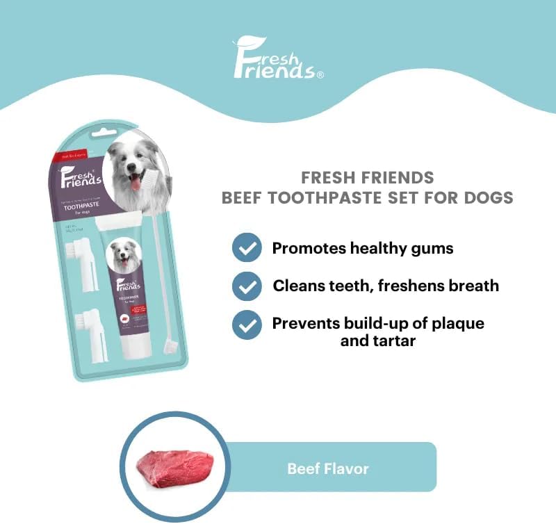 Fresh Friends Dental Care Kit With Toothpaste Beef Flavor  - 90g 