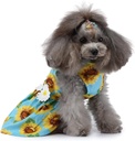 Pets.Love.Earth Summer Dress Blue