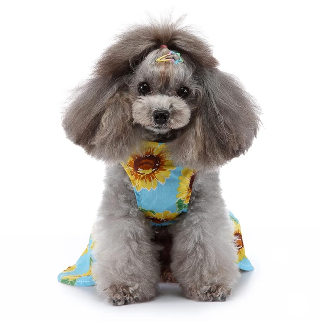 Pets.Love.Earth Summer Dress Blue