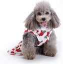 Pets.Love.Earth White with Roses Ribbon Cozy Sleeveless Dress Red