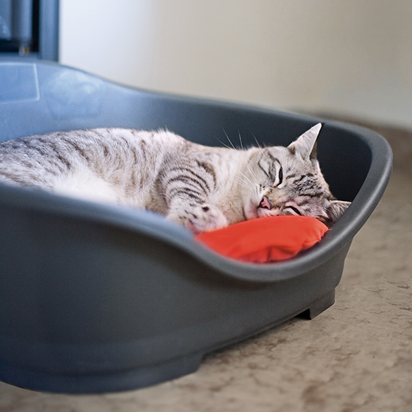 Stefanplast Sleeper Bed Dove Grey for Medium to Large Dogs