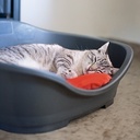 Stefanplast Sleeper Bed Dove Grey for Medium to Large Dogs