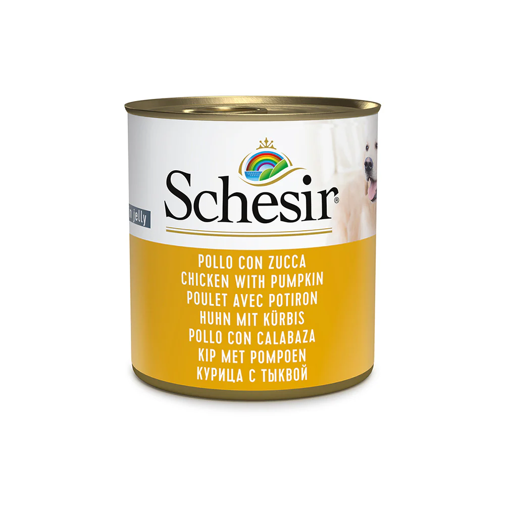 Schesir Can for Dog Chicken With Pumpkin In Jelly 285g