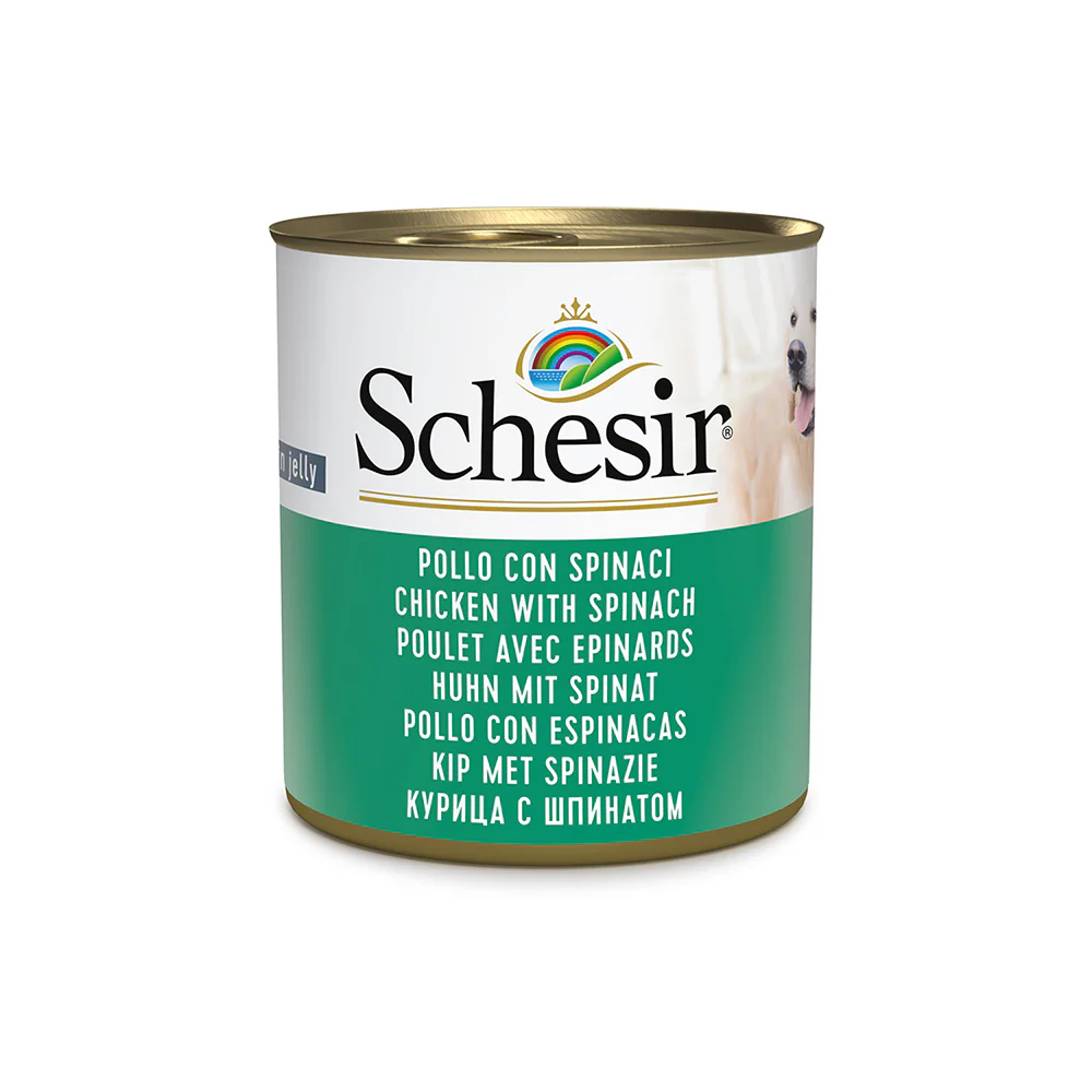 Schesir Can for Dog Chicken With Spinach In Jelly 285g