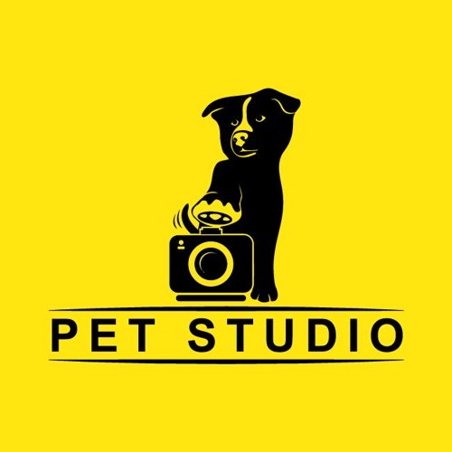 Pet Studio