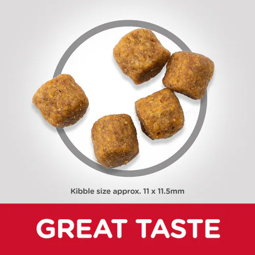 Hill's Science Plan Canine Adult Medium Lamb