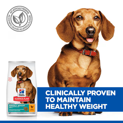 Hill's Science Plan Canine Adult Perfect Weight Small & Mini Chicken
