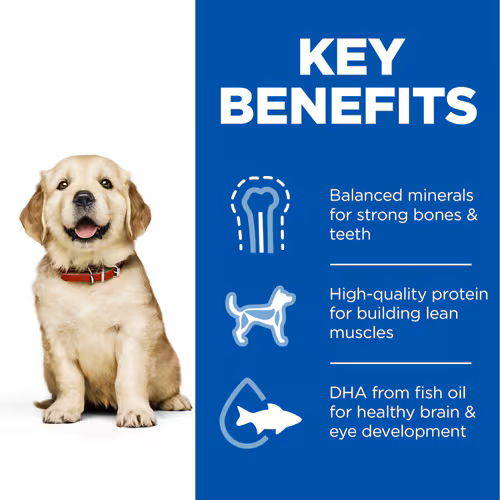 Hill's Science Plan Canine Puppy Large Chicken 