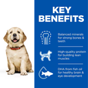 Hill's Science Plan Canine Puppy Large Chicken 