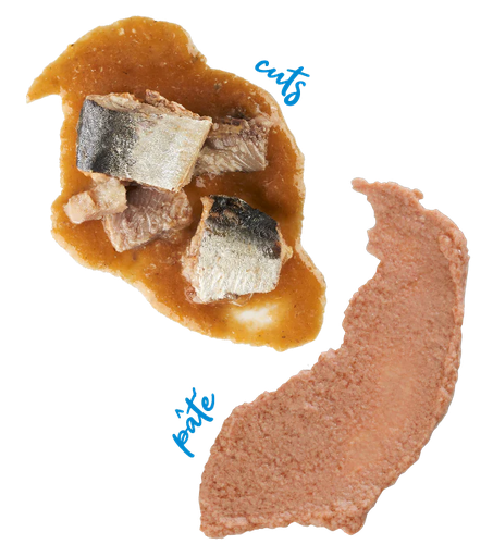 Schesir Cat Can Sardine Fillets in Sauce 70g