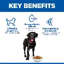 Hill's Science Plan Canine Adult Perfect Weight & Active Mobility Large Breed Chicken 12kg 