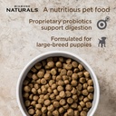 Diamond Naturals Large Breed Puppy Lamb & Rice Formula 