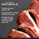 Diamond Naturals Large Breed Puppy Lamb & Rice Formula 