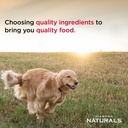 Diamond Naturals Large Breed Puppy Lamb & Rice Formula 