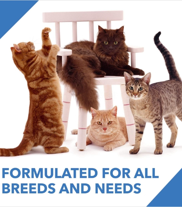 Drools Cat Dry Food – Real Chicken