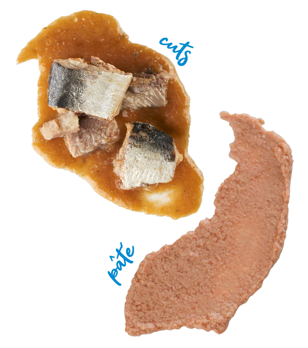 Schesir Can For Cat Sardine and Mackerel Fillets with Squids in Pate 70g