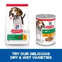 Hill's Science Plan Canine Puppy Variety Pack – Cans (Chicken & Beef) 12 x 370g
