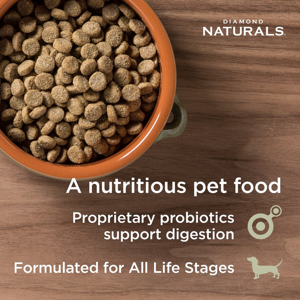 Diamond Naturals Skin and Coat For All Life Stage Dog