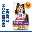 Hill's Science Plan Canine Adult - Medium & Large - Sensitive Stomach & Skin - Chicken