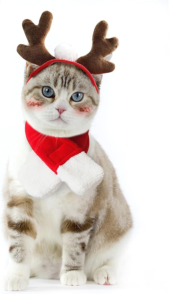 Pets.Love.Earth Classic Christmas Scarf 