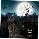 Pets.Love.Earth Halloween Bat Costume 