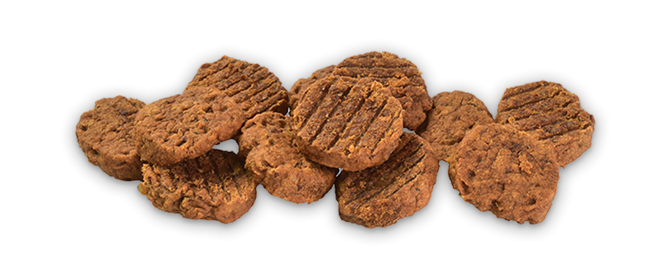 Brit Jerky Puppy Turkey Meaty Coins 80g 