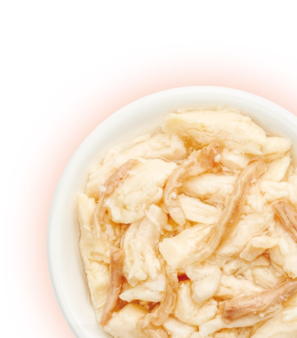 Cat Fest Chicken with Salmon Tender Jelly Pouch 70g
