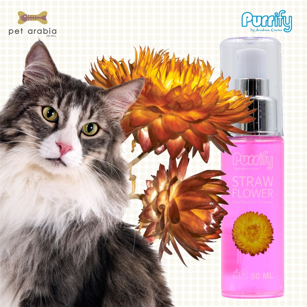 Purrify Floral Essence Oil Spray Straw Flower 50Ml (Buy 2 Get 1 FREE) 